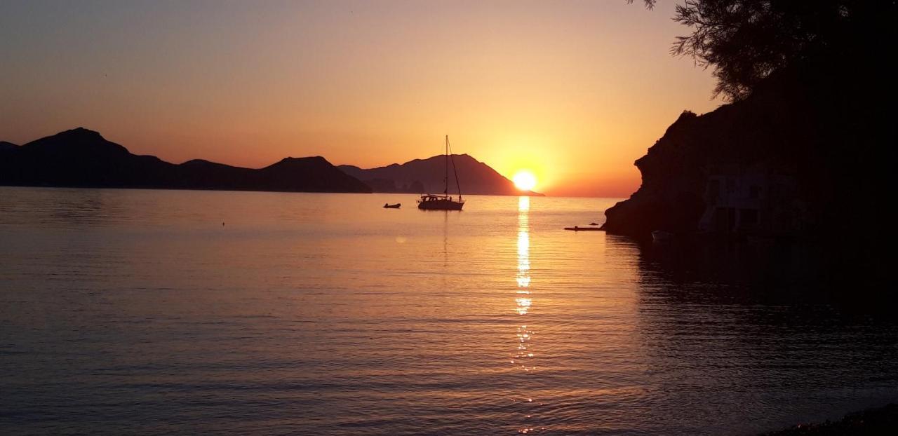 Skinopi Fisherman's Dream * Schinopi